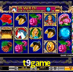 t9game Salvador - Bonus Stats